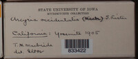 Image Associated With the Occurence